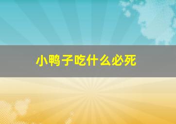 小鸭子吃什么必死