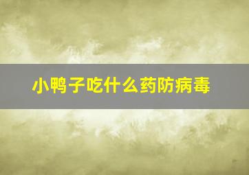 小鸭子吃什么药防病毒