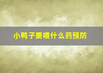 小鸭子要喂什么药预防