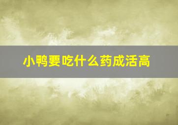 小鸭要吃什么药成活高