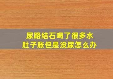 尿路结石喝了很多水肚子胀但是没尿怎么办