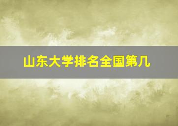 山东大学排名全国第几