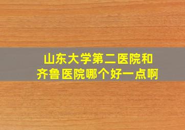 山东大学第二医院和齐鲁医院哪个好一点啊