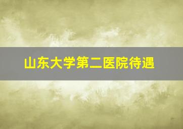 山东大学第二医院待遇