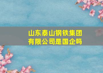 山东泰山钢铁集团有限公司是国企吗