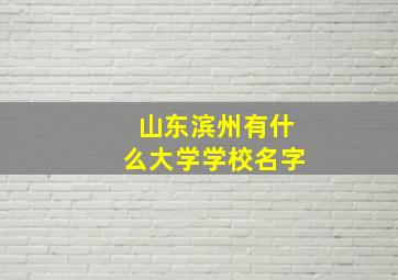 山东滨州有什么大学学校名字