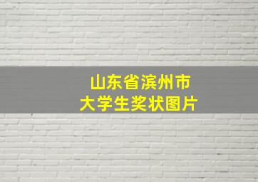 山东省滨州市大学生奖状图片