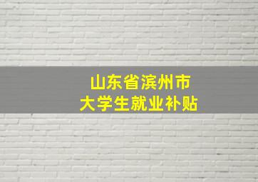 山东省滨州市大学生就业补贴