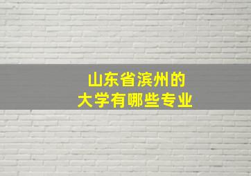 山东省滨州的大学有哪些专业