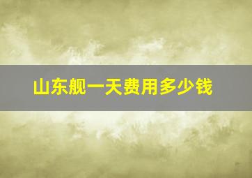 山东舰一天费用多少钱