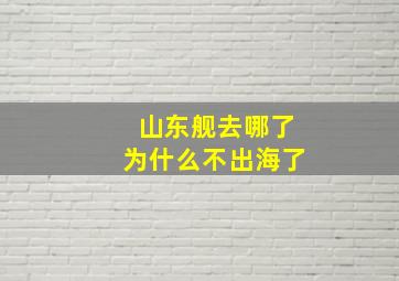 山东舰去哪了为什么不出海了