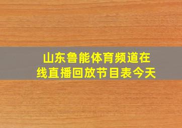 山东鲁能体育频道在线直播回放节目表今天