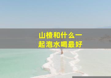 山楂和什么一起泡水喝最好