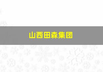 山西田森集团