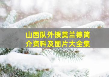 山西队外援莫兰德简介资料及图片大全集