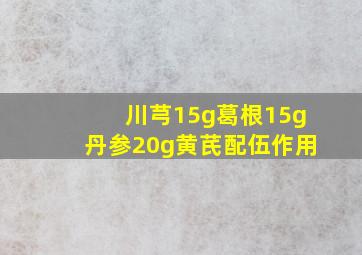 川芎15g葛根15g丹参20g黄芪配伍作用