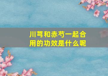 川芎和赤芍一起合用的功效是什么呢