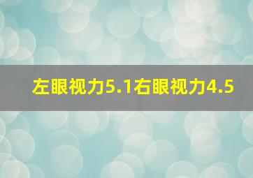 左眼视力5.1右眼视力4.5