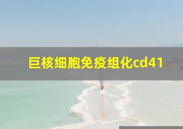 巨核细胞免疫组化cd41