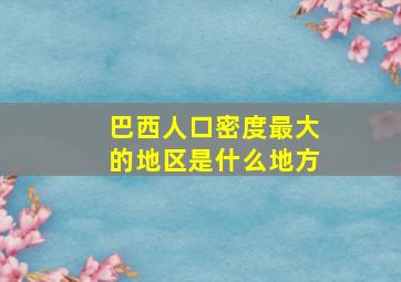 巴西人口密度最大的地区是什么地方