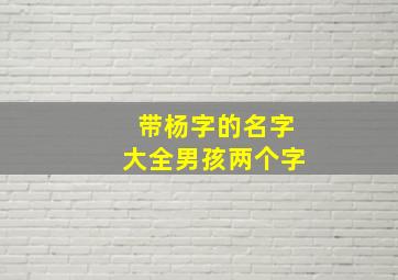 带杨字的名字大全男孩两个字