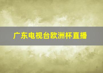 广东电视台欧洲杯直播