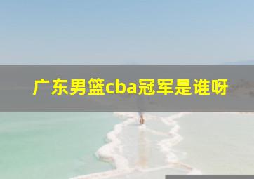 广东男篮cba冠军是谁呀