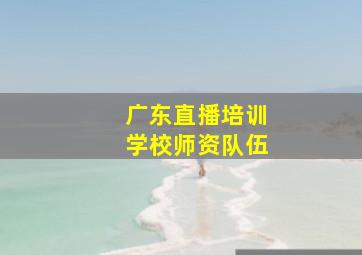 广东直播培训学校师资队伍