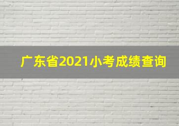 广东省2021小考成绩查询