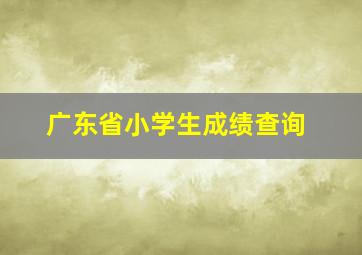 广东省小学生成绩查询