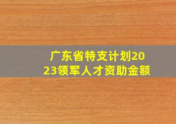 广东省特支计划2023领军人才资助金额