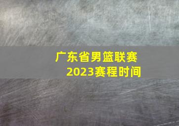 广东省男篮联赛2023赛程时间