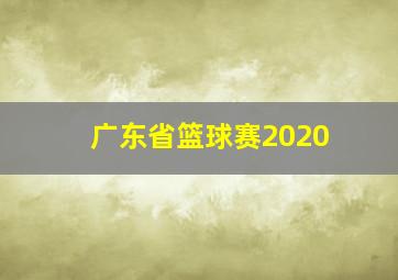 广东省篮球赛2020