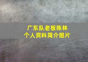 广东队老板陈林个人资料简介图片