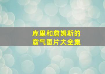 库里和詹姆斯的霸气图片大全集