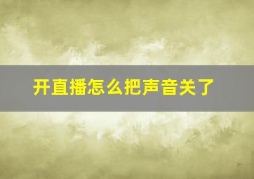 开直播怎么把声音关了