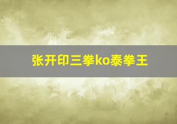 张开印三拳ko泰拳王