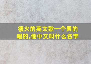 很火的英文歌一个男的唱的,他中文叫什么名字