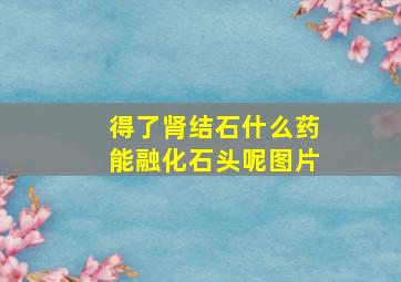 得了肾结石什么药能融化石头呢图片