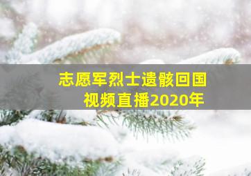 志愿军烈士遗骸回国视频直播2020年