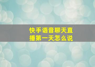 快手语音聊天直播第一天怎么说