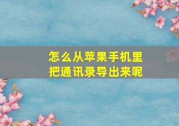 怎么从苹果手机里把通讯录导出来呢