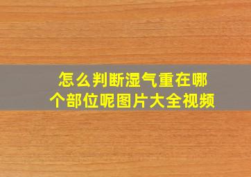 怎么判断湿气重在哪个部位呢图片大全视频