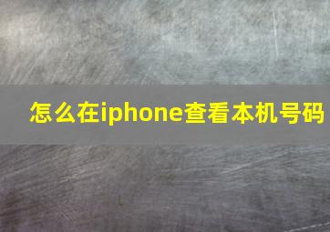 怎么在iphone查看本机号码