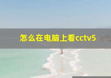 怎么在电脑上看cctv5