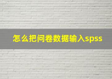 怎么把问卷数据输入spss