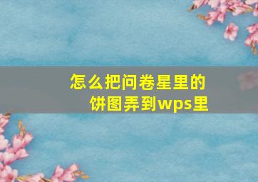 怎么把问卷星里的饼图弄到wps里