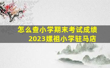 怎么查小学期末考试成绩2023嫘祖小学驻马店