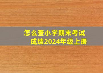 怎么查小学期末考试成绩2024年级上册