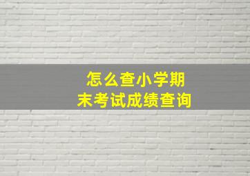 怎么查小学期末考试成绩查询